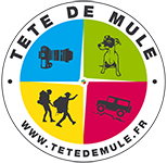 Tête de Mule
