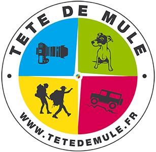 Tête de Mule